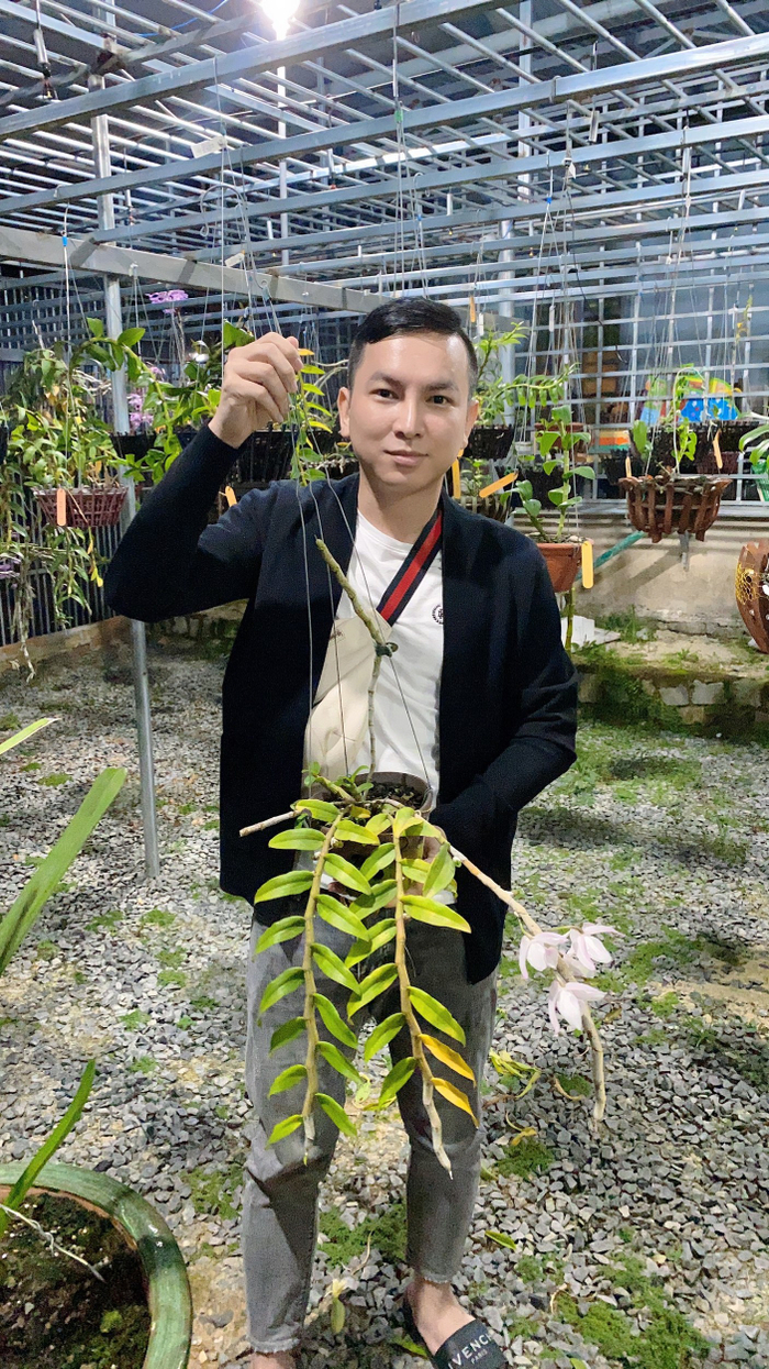 Nghệ nhân Tô Thanh Long và hành trình bén duyên với hoa lan Ảnh 4