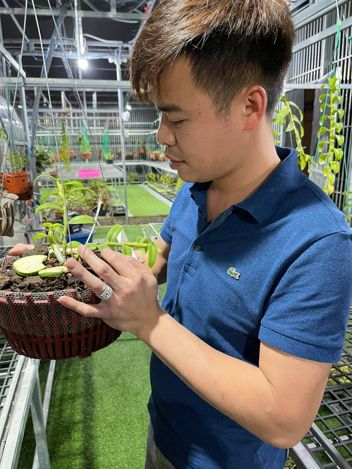 Ông chủ vườn lan 8X Trung Dũng: Chàng trai trồng lan đột biến khó chăm hiếm tìm ở Hà Nam Ảnh 5