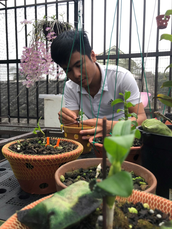 Những cây hoa lan được Hiệp tự tay chăm sóc, vun trồng.