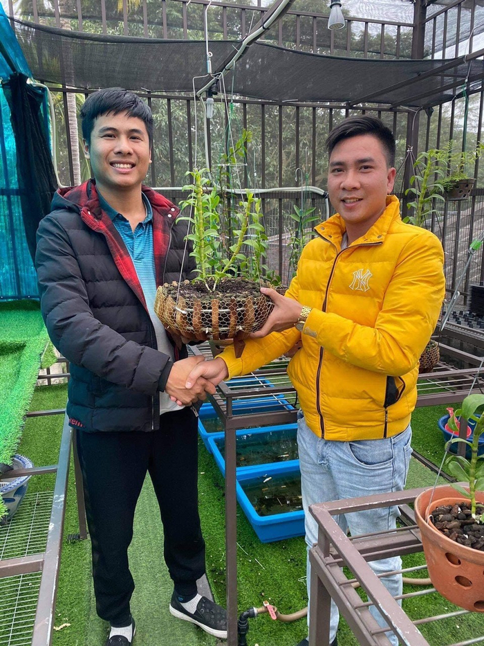 Nhiều vị khách đến với vườn lan của Hiệp để chiêm ngưỡng vẻ đẹp mỹ miều của loài hoa này.