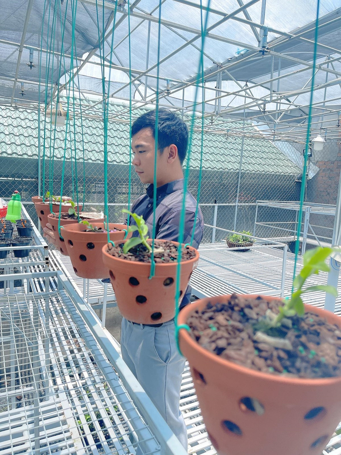 Sau khi tốt nghiệp, anh Hòa về quê và mở vườn lan của riêng mình