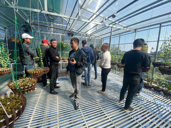 Nghệ nhân Phan Hữu Phước chia sẻ kinh nghiệm trồng lan đột biến Ảnh 6