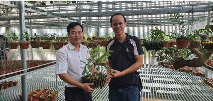 Nghệ nhân Lê Tuấn Tú – Người có niềm đam mê mãnh liệt với các loài lan