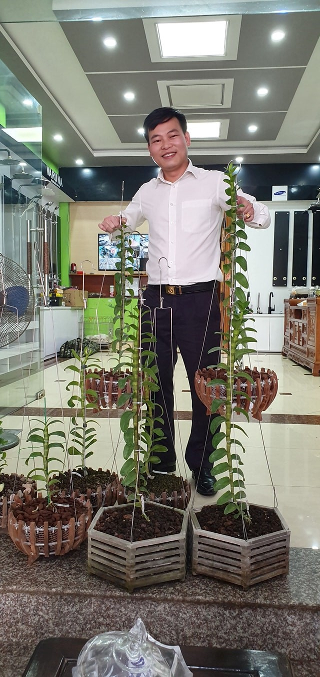 Anh không sử dụng bất kỳ môt phương pháp khoa học kỹ thuật nào vào trồng lan.