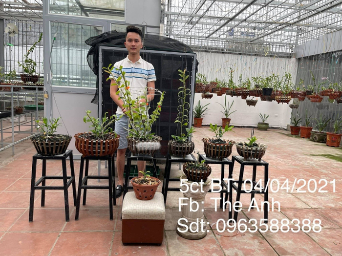 Nghệ nhân Lê Thế Anh: Chàng trai 9x chia sẻ bí quyết 'làm thân' với loài hoa vương giả Ảnh 4