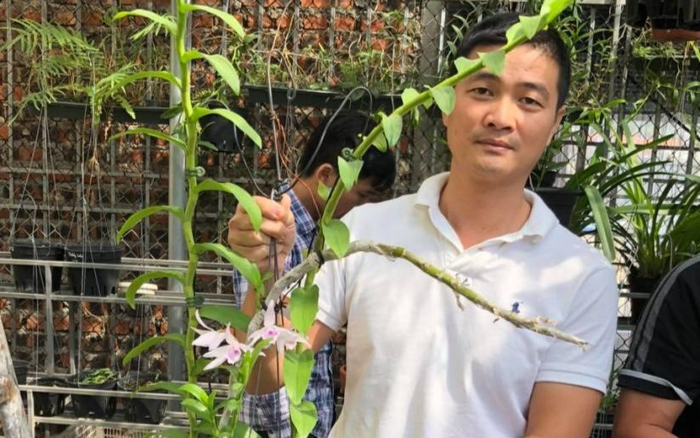 Nghệ sĩ chơi lan Trần Anh Tuân - Tất cả cũng chỉ vì đam mê Ảnh 2