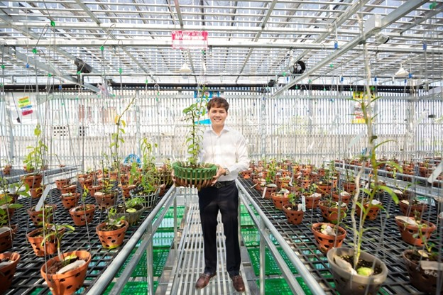 Theo nam nghệ nhân, phong lan vốn là loài hoa mang vẻ đẹp dịu dàng, độc đáo, có khi lại kiêu kỳ làm say đắm lòng người