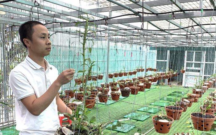 Nguyễn Văn Thắng: Người thắp lửa cho nghề trồng lan đột biến Ảnh 2