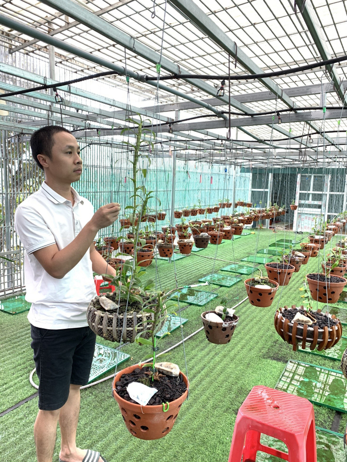 Nguyễn Văn Thắng: Người thắp lửa cho nghề trồng lan đột biến Ảnh 1