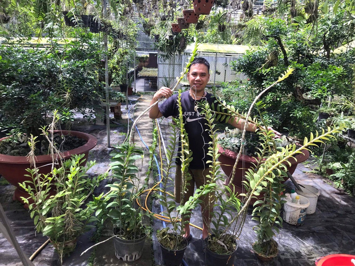 Anh Hoàng Văn Cánh nằm trong TOP 10 những nghệ nhân hoa lan sở hữu nhiều loại lan lá sọc lá phát tài nhất Việt Nam