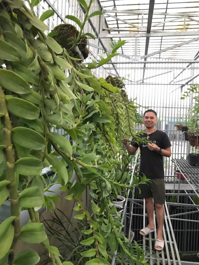 Anh Hoàng Văn Cánh bên vườn lan đột biến của mình tại Lâm Đồng