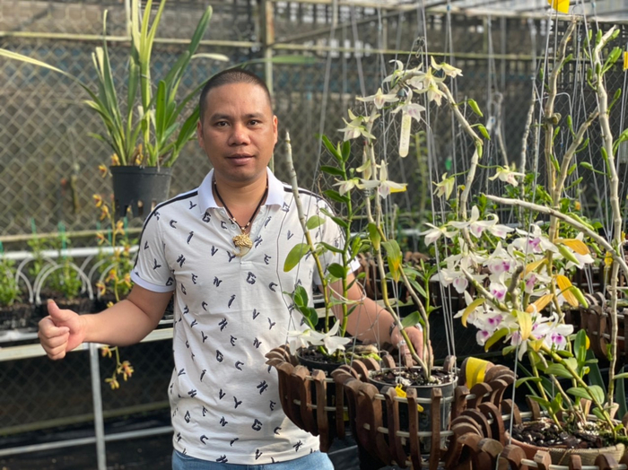 Lan đột biến không những mang vẻ đẹp khó cưỡng mà giá trị kinh tế cũng cao