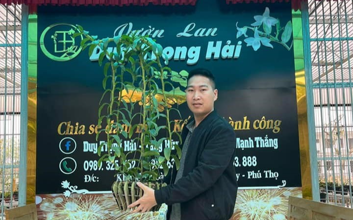 Duy Trọng Hải – Doanh nhân đi đến thành công từ những chậu lan cảnh Ảnh 2
