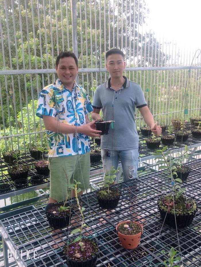 Duy Trọng Hải – Doanh nhân đi đến thành công từ những chậu lan cảnh Ảnh 2