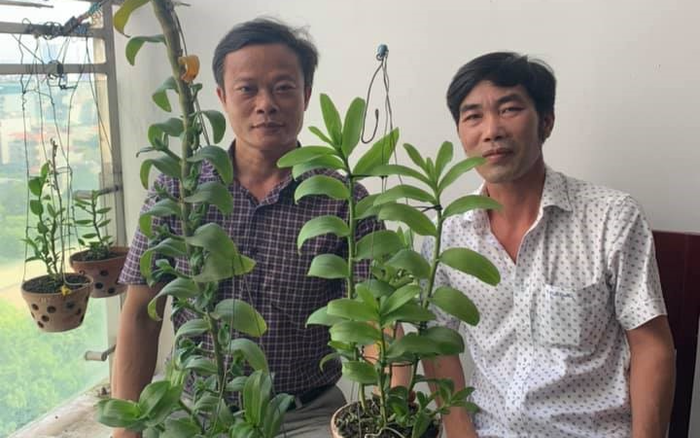 Lương Anh Tuấn: Người lặng thầm làm nên kỳ tích cho vườn lan tuyệt mĩ Ảnh 2