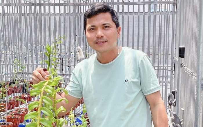 Nghệ nhân Hà Chí Tâm chia sẻ bí kíp chữa trị giúp lan phục hồi sau sâu bệnh Ảnh 2