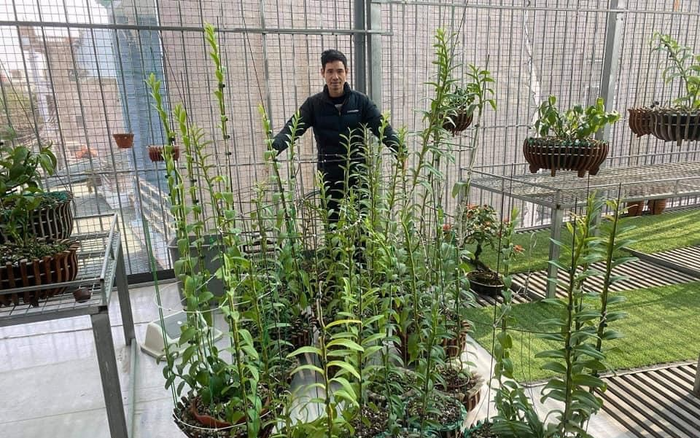 Nghệ nhân hoa lan Hoàng Văn Trung: Chia sẻ kỹ thuật trồng lan thành công Ảnh 2
