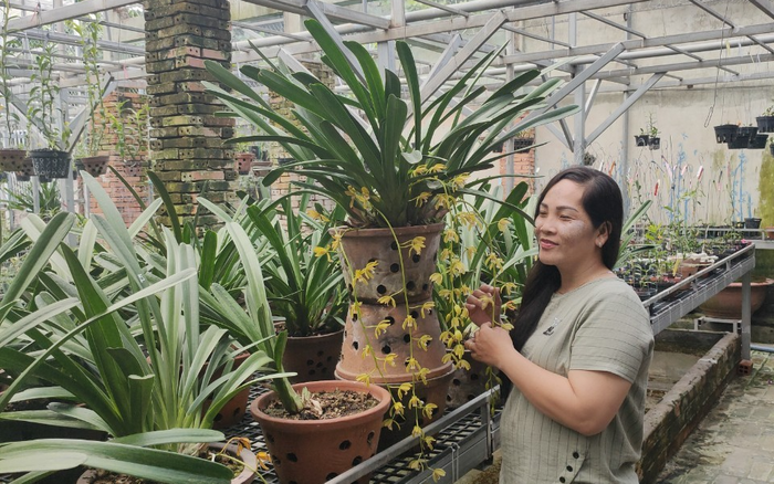 Nghệ nhân Nguyễn Ngọc Phương Anh: Niềm đam mê hoa lan tao nhã nhưng lại có nguồn thu nhập ổn định Ảnh 2