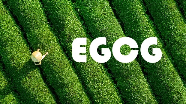 Công dụng tuyệt vời của hợp chất EGCG giúp Trà xanh được hàng triệu người yêu thích và dùng làm thức uống giải khát mỗi ngày