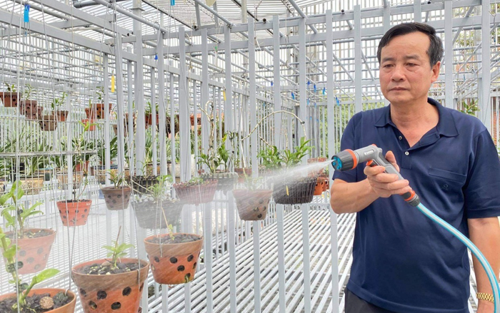 Nghệ nhân Đồng Chiến chia sẻ hành trình xây dựng vườn lan từ đam mê chân chính Ảnh 2