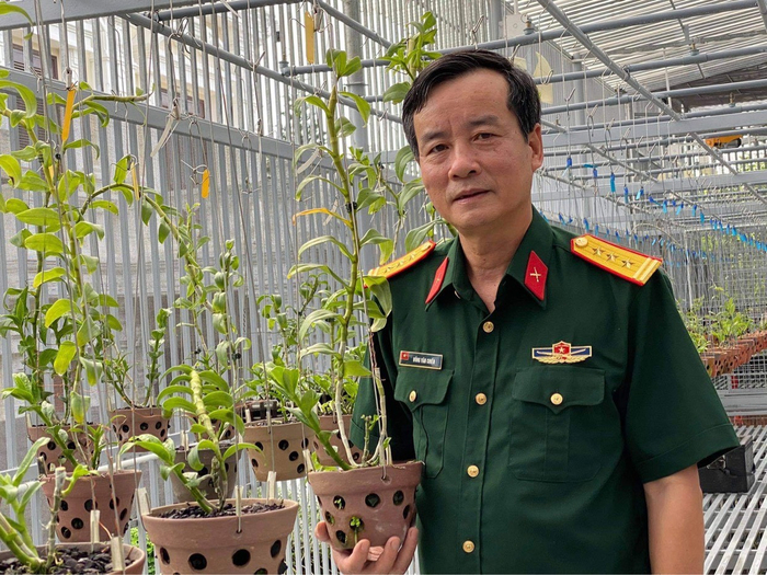 Vườn lan của nghệ nhân Đồng Chiến.