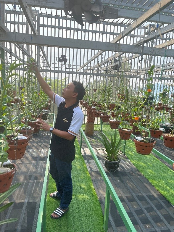 Anh Dũng đang chăm sóc những cây lan của mình