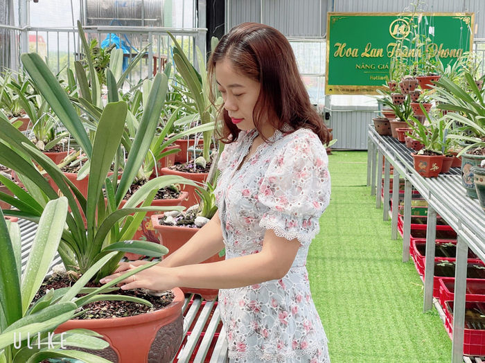 Câu chuyện sở hữu hàng chục loài lan quý của cô chủ Thùy Linh Ảnh 2