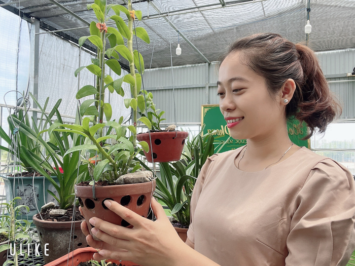 Câu chuyện sở hữu hàng chục loài lan quý của cô chủ Thùy Linh Ảnh 7