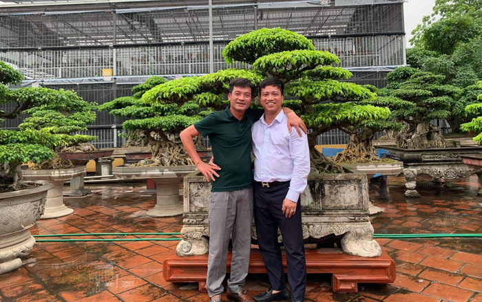 Nghệ nhân Lưu Quang Hưởng chia sẻ kinh nghiệm để có bộ bonsai đẹp Ảnh 2