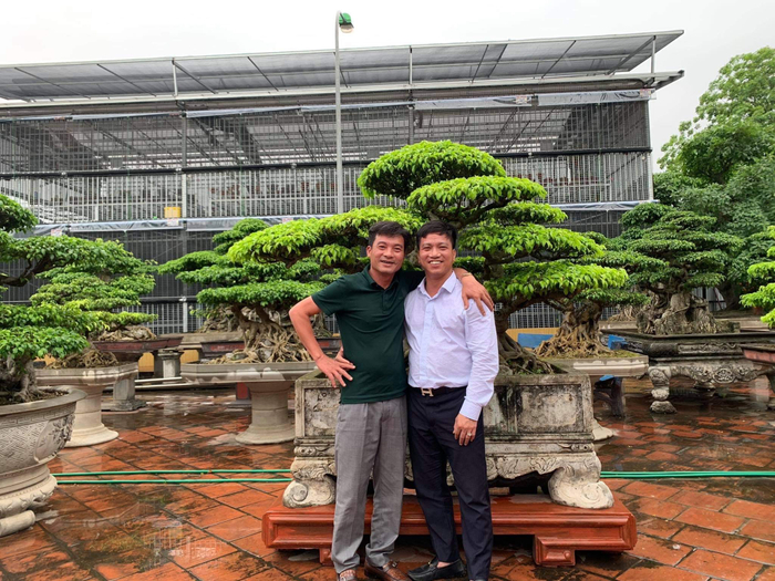 Nghệ nhân Lưu Quang Hưởng và một số tác phẩm bonsai đẹp và lạ