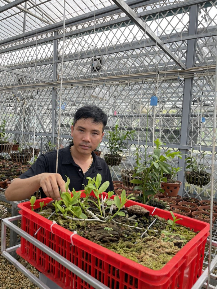 Bật mí bí quyết thành công của nghệ nhân lan Phương Thuần Ảnh 1