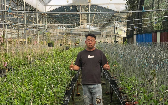 Nghệ nhân Đinh Văn Học: Hoàn thiện khâu cơ bản nhất mới chăm được lan Ảnh 2