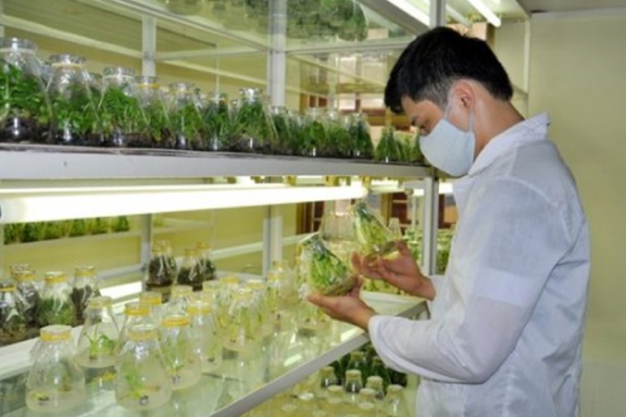 Dự báo xu hướng tuyển dụng việc làm các ngành nghề sau đại dịch Covid-19 Ảnh 3
