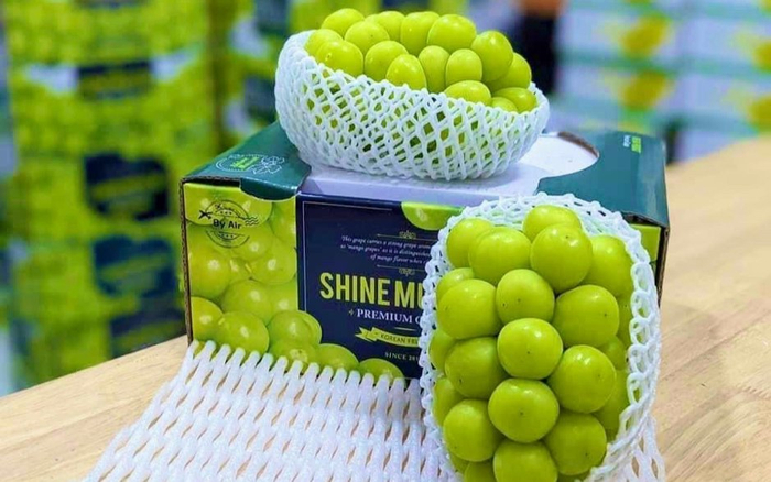 Thương hiệu kinh doanh, phân phối thực phẩm, hoa quả nhập khẩu nổi tiếng - Thảo Nguyên Fruit và những sự tâm huyết đằng sau đó Ảnh 2