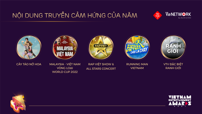 Vietnam Entertainment Awards (VEA) – Giải thưởng của ngành giải trí Việt Nam Ảnh 10