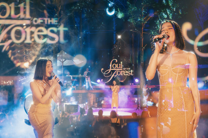 Ca sĩ Lệ Quyên trong đêm nhạc Soul of the Forest chủ đề Tình lỡ