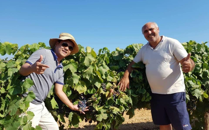 Đồ uống cao cấp mang thương hiệu IVCOM hướng về bữa ăn của mọi gia đình Việt Ảnh 2