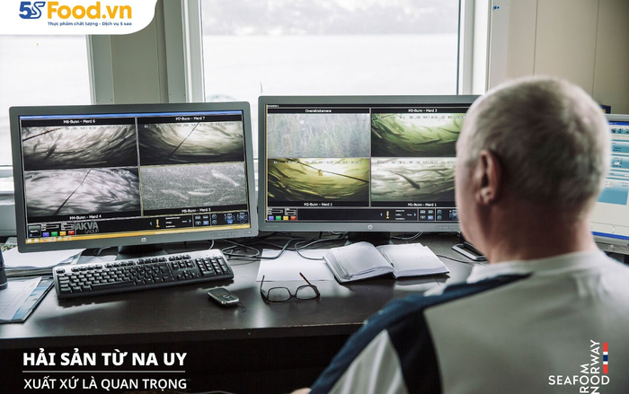 Cá hồi Nauy SFN và những tiêu chuẩn bền vững khắt khe nhất thế giới Ảnh 2