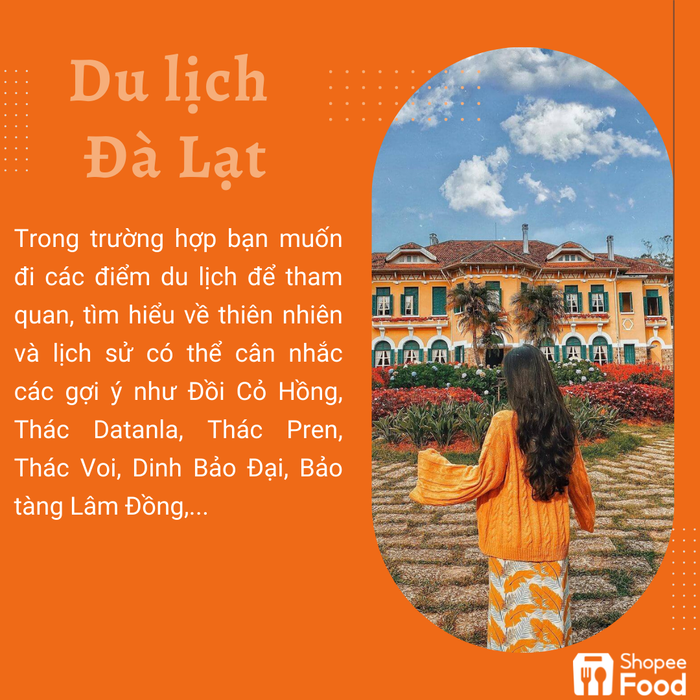 Tận hưởng Đà Lạt theo cách thật chill của người hướng nội Ảnh 5