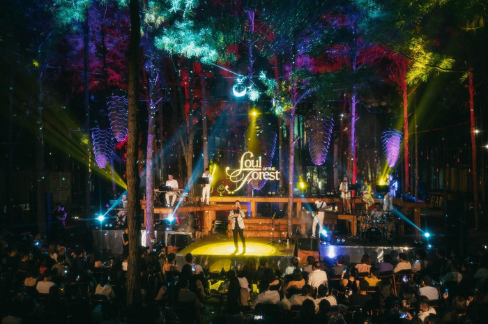Bằng Kiều trở lại ấn tượng với đêm nhạc Soul of the Forest 'Cơn mơ băng giá' Ảnh 2