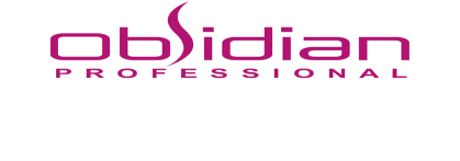 Obsidian Professionl - Nhà tài trợ kim cương của sự kiện.