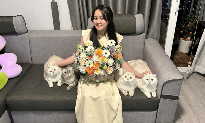 Gia đình mèo Mon, Bi, Út, Dâu và cô chủ Na Bông