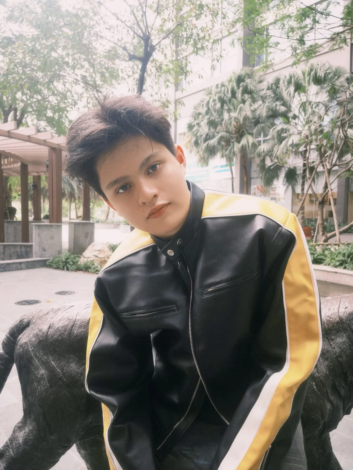 Hình ảnh