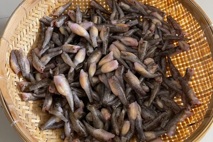 Kỹ Thuật Đà Năng