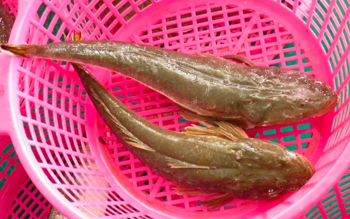 Kỹ Thuật Đà Năng