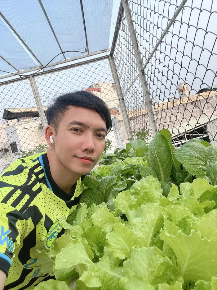 Hình ảnh